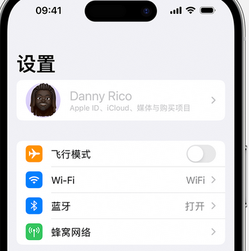 常平镇appleID维修服务iPhone设置中Apple ID显示为灰色无法使用 