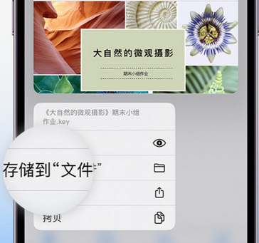 常平镇apple维修中心分享iPhone文件应用中存储和找到下载文件