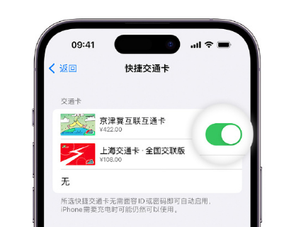 常平镇apple维修点分享iPhone上更换Apple Pay快捷交通卡手绘卡面 