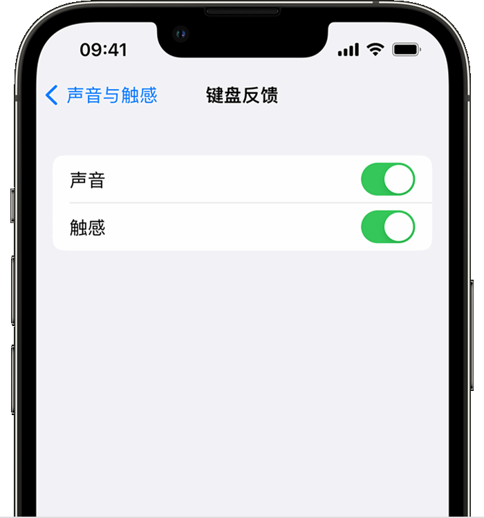 常平镇苹果14维修店分享如何在 iPhone 14 机型中使用触感键盘 