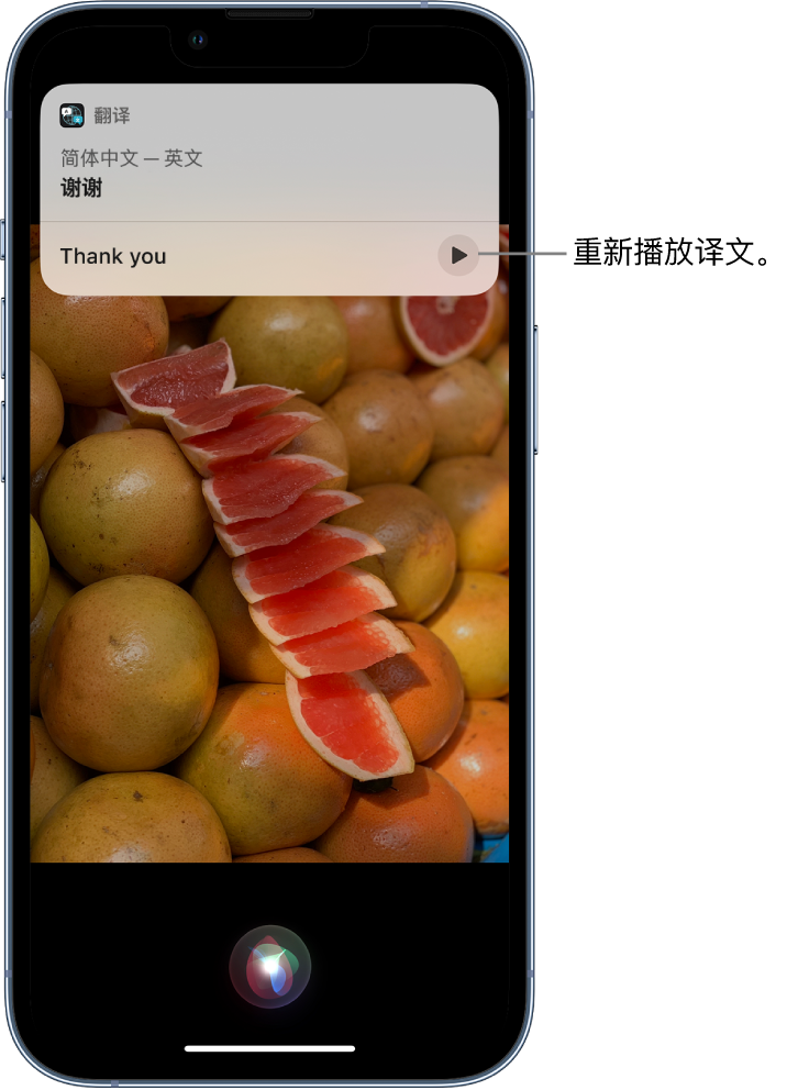 常平镇苹果14维修分享 iPhone 14 机型中使用 Siri：了解 Siri 能帮你做什么 